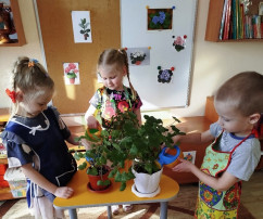 «Комнатные растения- зеленые друзья детей» «Комнатные растения- зеленые друзья детей».