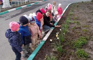 "Первоцветы" "Первоцветы".